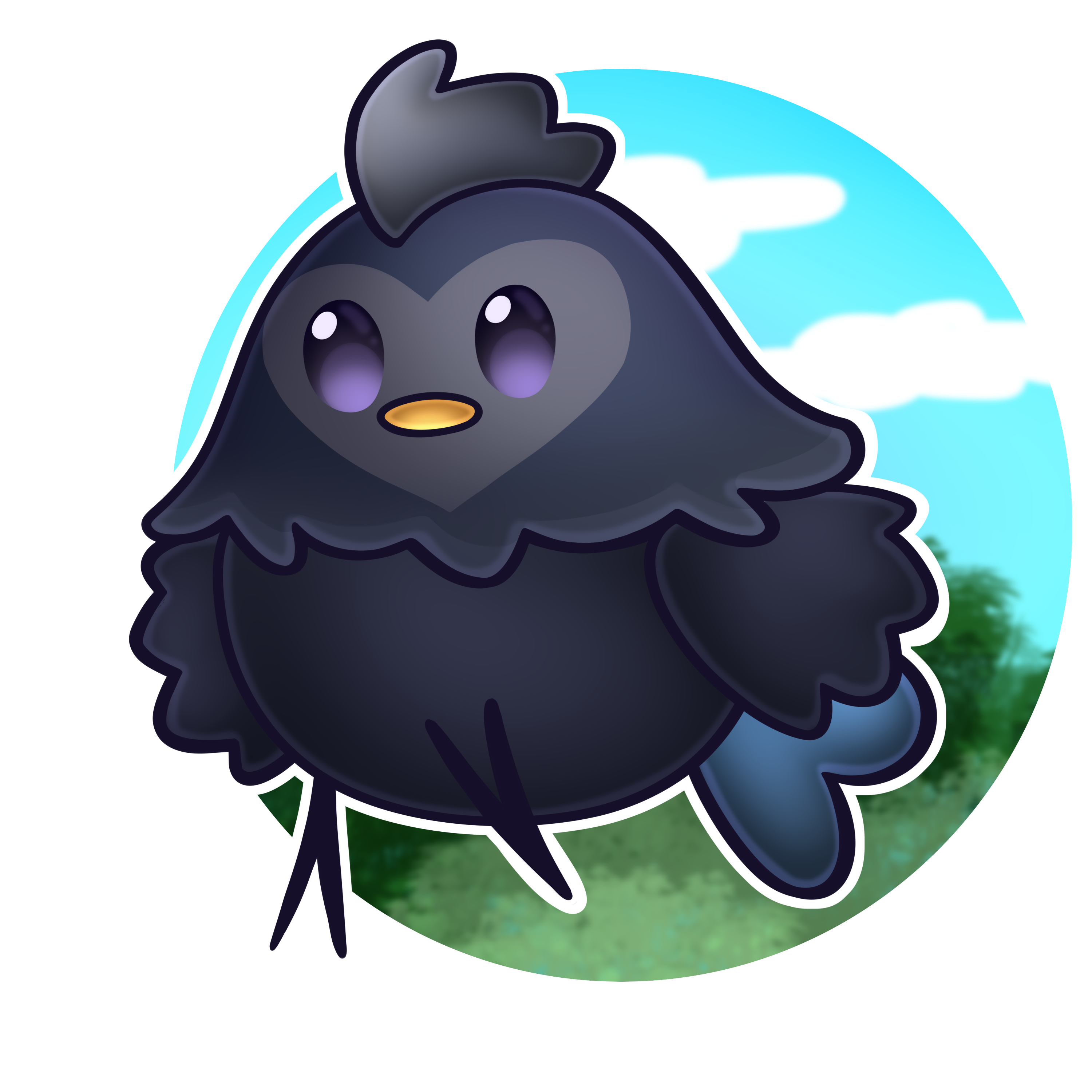 Silkie Chicken